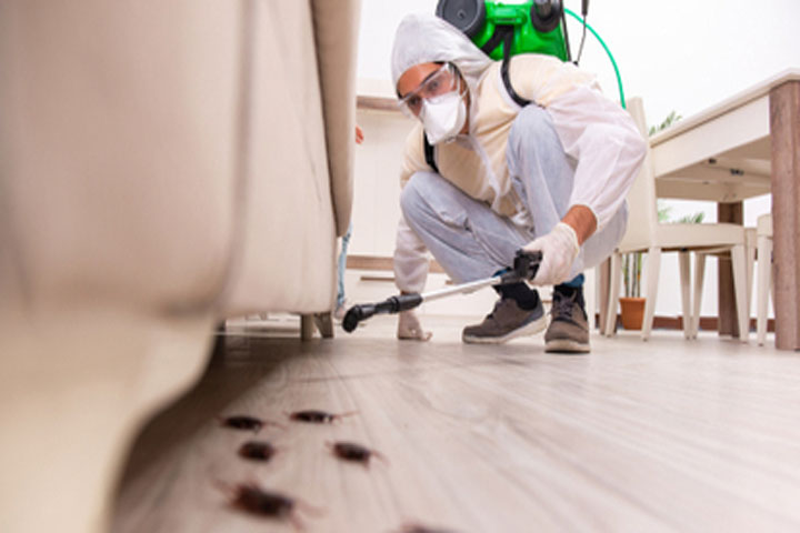 Professional Pest Control Services