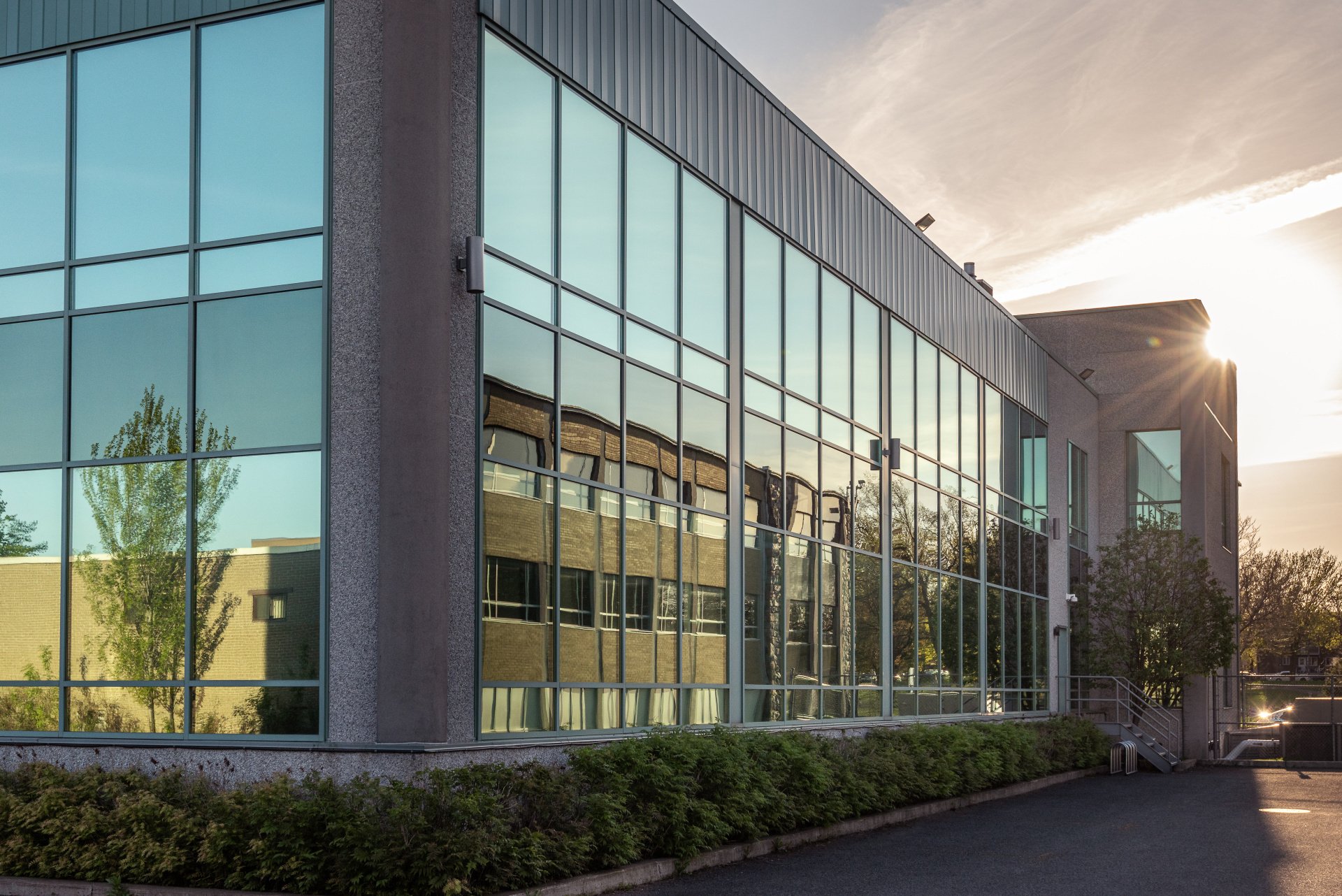 Impact of Commercial Window Tinting